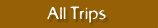 Viaggi tutti